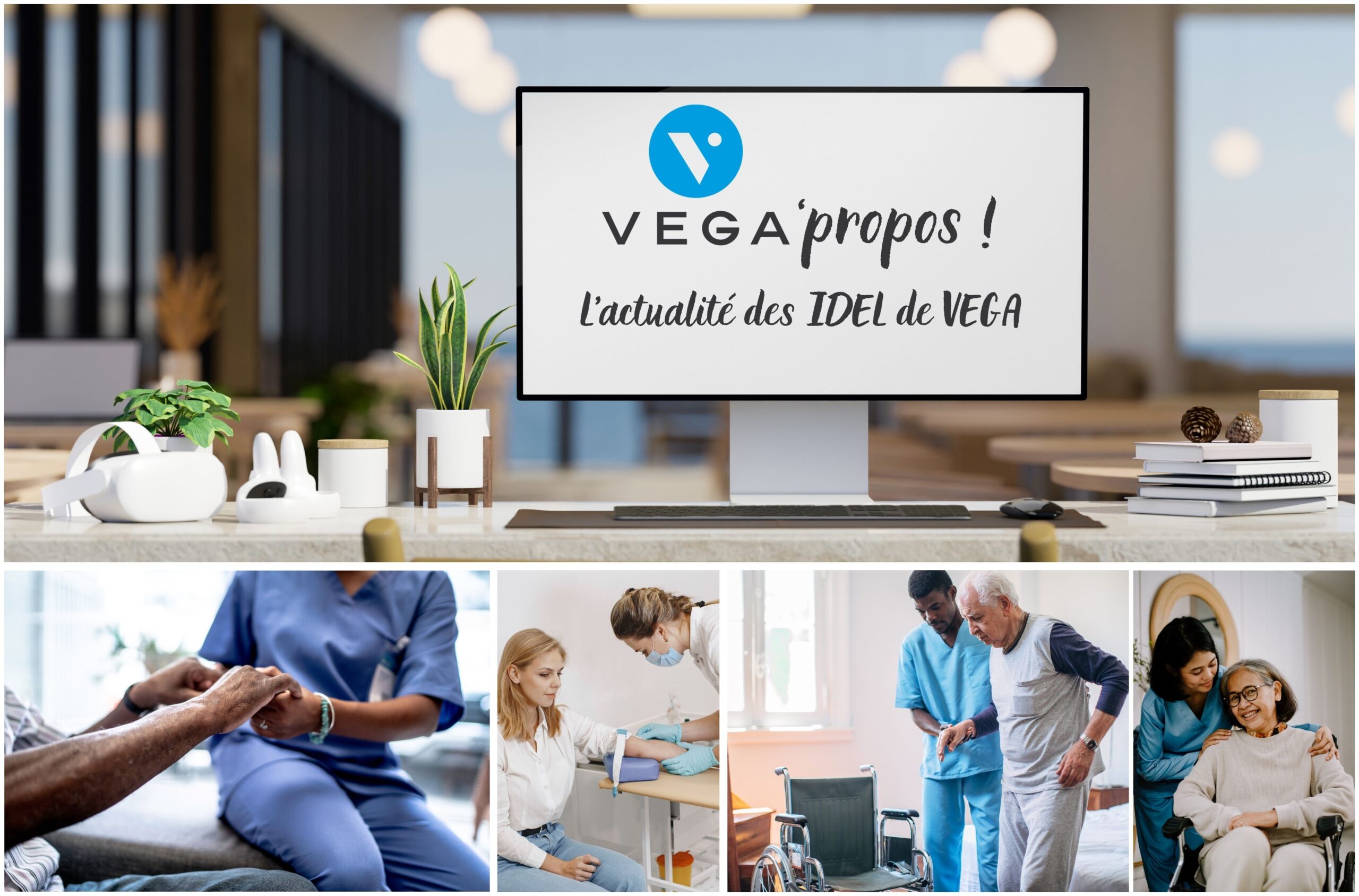 VEGA’propos – la newsletter des IDEL utilisateurs de VEGA